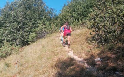 Trail del Viglio